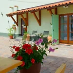 Nicolara By Rent Istria וילה *